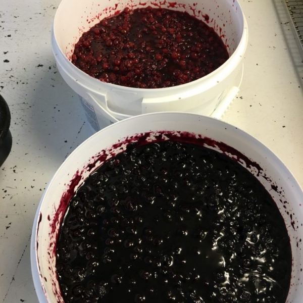 Our Own Blueberry and Partridgeberry Preserves