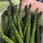 Fresh Asparagus from the Garden